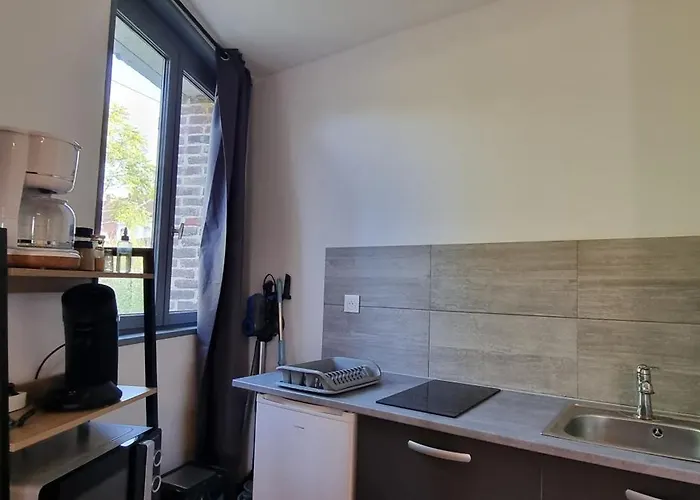 Rose Rdc Parking Securise Renove Proc Cite Congres Cocon Cosy 27m2 Apartment Anzin