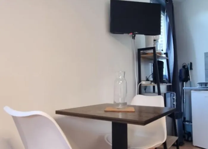 Apartment Rose Rdc Parking Securise Renove Proc Cite Congres Cocon Cosy 27m2